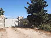 Продаётся  участок 110 сот, пос. Шаган, photo 4 from 7