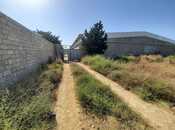 Продаётся  участок 110 сот, пос. Шаган, photo 3 from 7