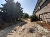 Продаётся  участок 110 сот, пос. Шаган, photo 5 from 7