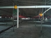 Продаётся  объект 5 148 м², пос. Сарай, photo 5 from 8