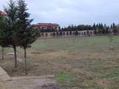 Продаётся  участок 59 сот, пос. Бадамдар, photo 5 from 8