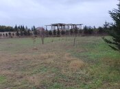 Объявление №3114745 - Баку, пос. Бадамдар, 59 сот