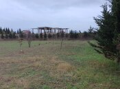 Продаётся  участок 59 сот, пос. Бадамдар, photo 2 from 8