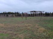 Продаётся  участок 59 сот, пос. Бадамдар, photo 4 from 8