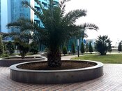 6-комн. новостройка - пос. Аг шехер - 470 м²