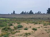 Satılır  torpaq 100 sot, Sea Breeze q., photo 3 from 8