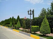 Satılır 7 otaqlı həyət evi/bağ evi 370 m², Yasamal r., photo 5 from 8