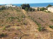 Satılır  torpaq 27 sot, Novxanı q., photo 1 from 8