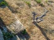 Satılır  torpaq 27 sot, Novxanı q., photo 4 from 8