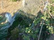 Satılır  torpaq 27 sot, Novxanı q., photo 7 from 8