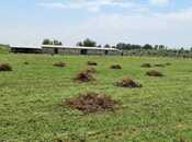 Продаётся  объект 500 м², Хачмазский р., photo 8 from 8