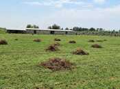 Продаётся  объект 500 м², Хачмазский р., photo 3 from 8