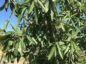 Продаётся  объект 25 000 м², пос. Тюркан, photo 4 from 8