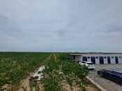 Elan №3456167 - Bakı, Türkan q., 25000 m²