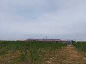 Продаётся  объект 25 000 м², пос. Тюркан, photo 3 from 8