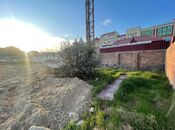 Продаётся  участок 65 сот, пос. Бадамдар, photo 5 from 8