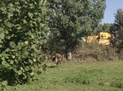 Satılır  torpaq 46 sot, photo 5 from 6