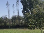 Объявление №2222635 - Шемаха, Шемаха, 46 сот