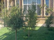 4 otaqlı həyət evi/bağ evi - Mərdəkan q. - 180 m²