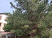 Продаётся  дом/дача 450 м², Сабунчинский  р., photo 7 from 8