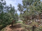Продаётся  дом/дача 450 м², Сабунчинский  р., photo 4 from 8