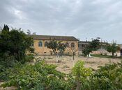 Объявление №3525526 - Баку, пос. Мардакан, 24 сот