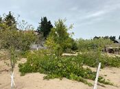 Продаётся  участок 24 сот, пос. Мардакан, photo 3 from 8