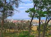 Продаётся  участок 34 сот, пос. Бадамдар, photo 2 from 8