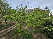 Продаётся  участок 95 сот, пос. Бадамдар, photo 7 from 8