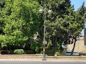 Продаётся  объект 174 м², Сабаильский р., photo 6 from 8