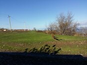 Продаётся  участок 200 сот, Набрань р., photo 8 from 8