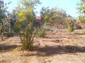 Satılır  torpaq 22 sot, Bilgəh q., photo 1 from 8