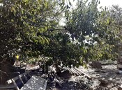 Satılır  torpaq 10 sot, Bibiheybət q., photo 8 from 8