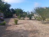 Продаётся  участок 25 сот, пос. Новханы, photo 5 from 5