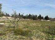 Satılır  torpaq 24 sot, Şüvəlan q., photo 5 from 8