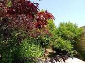 Satılır 7 otaqlı həyət evi/bağ evi 232 m², Nabran r., photo 7 from 8