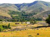 Satılır  torpaq 200 sot, photo 3 from 8