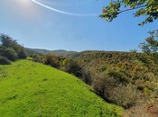 Satılır  torpaq 200 sot, photo 7 from 8