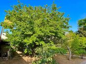 Satılır  torpaq 10 sot, Mərdəkan q., photo 1 from 2