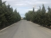 Сдаётся  участок 22 сот, пос. Гала, photo 3 from 8