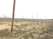 Продаётся  участок 330 сот, пос. Говсан, photo 2 from 8