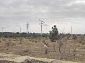 Продаётся  участок 330 сот, пос. Говсан, photo 4 from 8