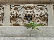 Продаётся 5-комн. вторичка 250 м², м. Ичеришехер, photo 3 from 8