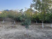 Продаётся  дом/дача 200 м², пос. Горадил, photo 5 from 8