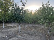 Продаётся  дом/дача 200 м², пос. Горадил, photo 4 from 8