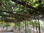 Продаётся  дом/дача 200 м², пос. Горадил, photo 2 from 8