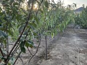 Продаётся  дом/дача 200 м², пос. Горадил, photo 3 from 8