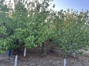 Продаётся  дом/дача 200 м², пос. Горадил, photo 7 from 8