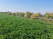 Продаётся  участок 500 сот, photo 2 from 3