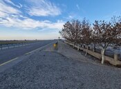 Продаётся  объект 251.6 м², photo 3 from 8